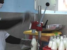 Haïti - Agriculture : La laiterie de Saut Mathurine est en opération