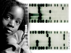 Haïti - Social : Loi sur la paternité, louable mais inapplicable