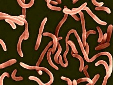 Haiti - Cholera : Petit Goâve needs help !