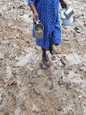 Haïti - Social : Camps Corail, 3 jours après la tempête