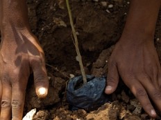 Haiti - Environment : Assistance of the UN organizations (2012)