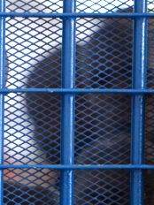 Haïti - Justice : Lutte contre la détention préventive