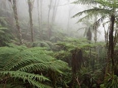 Haiti - Environment : 25 young people attend a seminar on biodiversity