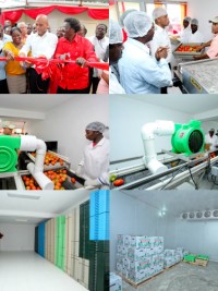 Haiti - Agriculture : Pilot Centre of Conditioning for fruits and vegetables of Kenscoff