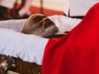 Haiti - FLASH : René Préval autopsy results