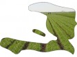 Haiti - Agriculture : Beginning of the National Survey on Agricultural Production