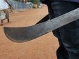 Haïti - FLASH : Une brigade de paysans tue à la machette 6 voleurs de boeuf