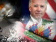 Haiti - FLASH : Jo Biden has listed Haiti on the list of transit or drug producing countries