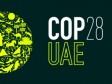 Haïti - Dubai : Préparatifs pour la participation d'Haiti aux négociations de la COP 28 à Dubaï