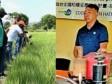 Haïti - Agriculture : Taïwan partage ses connaissances pour aider à augmenter les récoltes de riz en Haïti