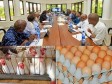 Haiti - Agriculture : Important meeting on the poultry sector