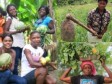 Haïti - Agriculture : Plus de 70% des agriculteurs en Haïti sont des femmes