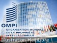 Haïti - FLASH : Prix mondiaux de l’OMPI 2026, appel à candidatures
