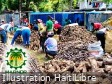 La foire d’agroforesterie en Haïti, dans la commune de Limbé, tient ses promesses 