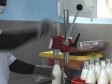 Haïti - Agriculture : La laiterie de Saut Mathurine est en opération
