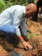 Haiti - Environment : The President plants trees...