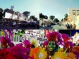 Haiti - Carnival of Flowers 2013 : D-3